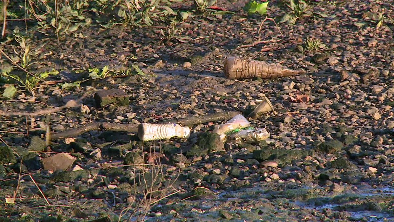 Müll in der Themse: Paddeln gegen Plastik
