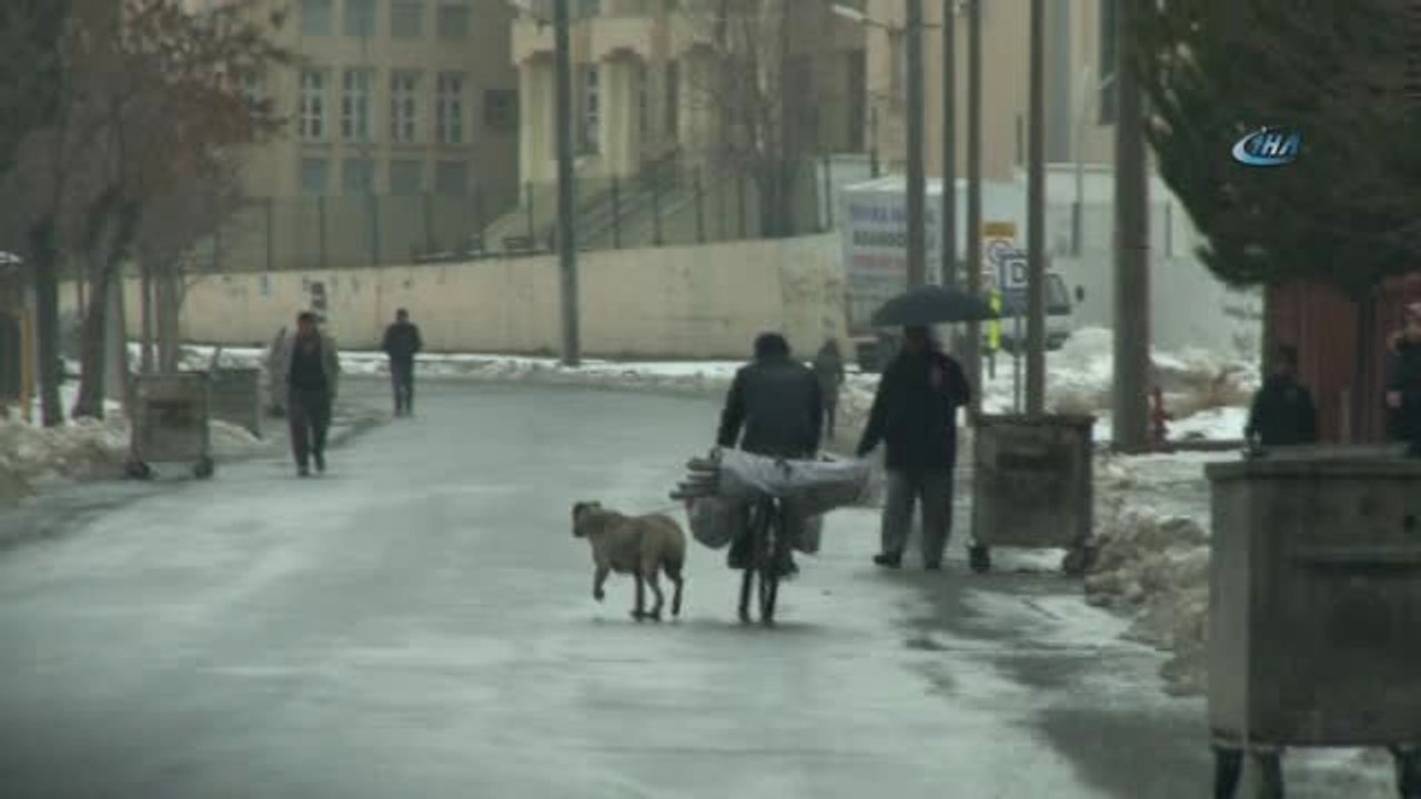 Köpeğin Boynuna İp Bağlayıp Bisikletin Peşinde Böyle Koşturdu