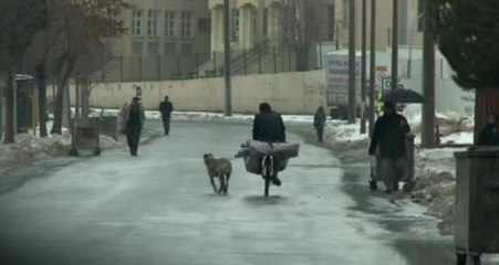 Sivas'ta Köpeğin Boynuna İp Bağlayıp Bisikletin Peşinde Böyle Koşturdu