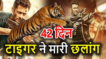 Salman Khan की Tiger Zinda Hai ने Box Office पर लगाई छलांग, 42nd Days  में Collection हुआ इतना