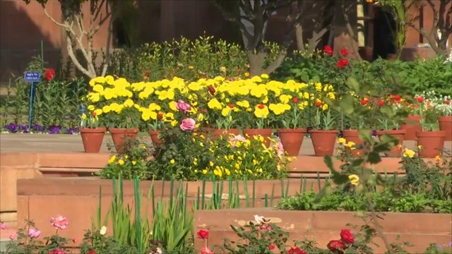 هذا الصباح- حدائق قصر الرئاسة بنيودلهي مفتوحة للزوار