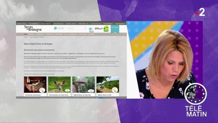 Journée sans téléphone portable : une cure "digital détox"