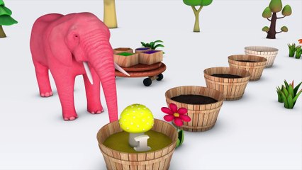Learn Color & Learn Numbers Mushroom W Elephant Cartoon Nursery Rhymes Song For Kids