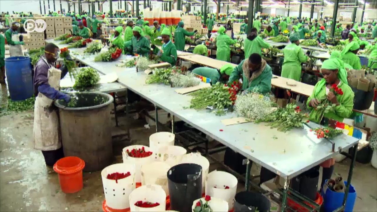 Kenias vergifteter See | DW Deutsch