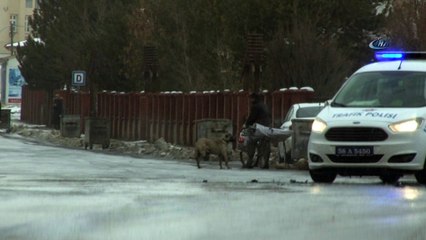 Köpeğin boynuna ip bağlayıp bisikletin peşinde böyle koşturdu