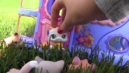 LPS: My Best Friend, The Vampire (Episode #3)