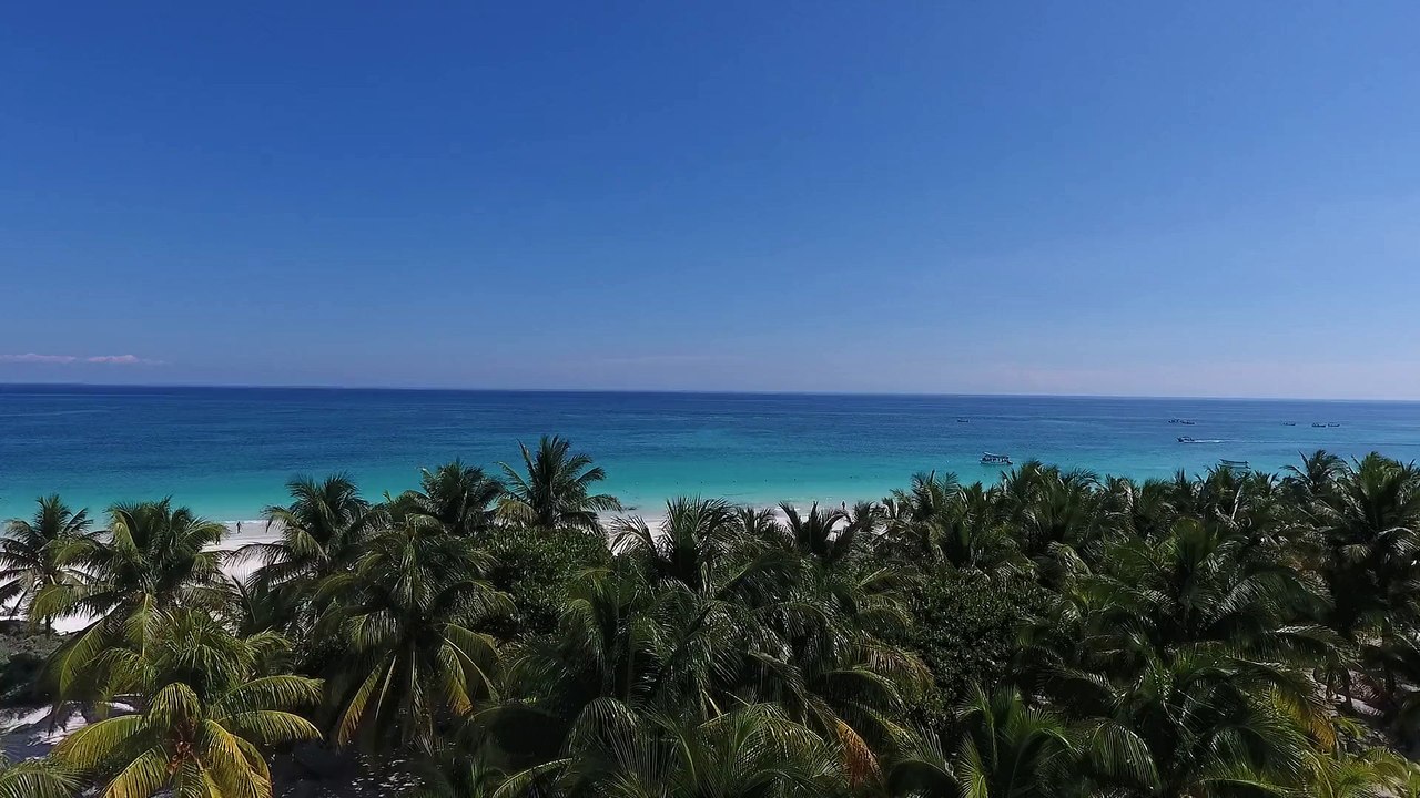 Beach View - Sally Shukry