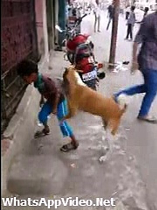 Dog_Trying_To_F@CK_Little_Kid_-_Bechare_Backe_Ki_Maarli(whatsappvideo.net)