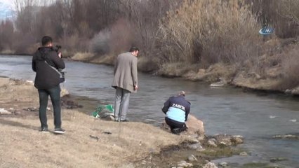 Oltu'daki Balık ve Kuş Ölümleri Araştırılıyor