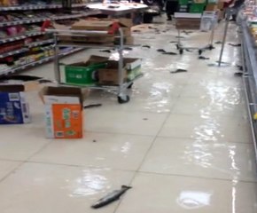 Akvaryumun Camı Kırılınca Balıklar Ortaya Saçıldı