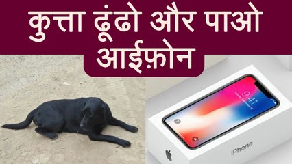 Varanasi के इस ख़ास Dog को ढूंढ कर आप पा सकते हैं iPhone | वनइंडिया हिंदी