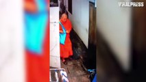 Buddhist Monk Filmed Stealing Knickers