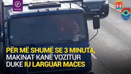 Vozitësi hero që i shpëton jetën maces në rrugë