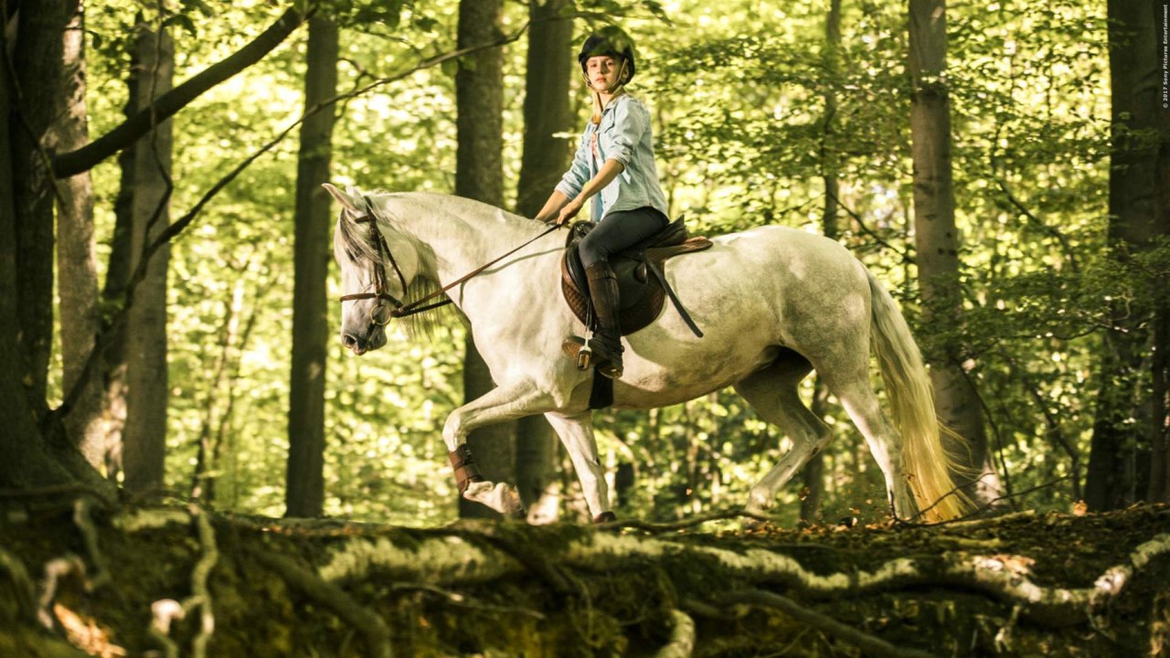 WENDY 2 - FREUNDSCHAFT FüR IMMER Trailer German Deutsch (2018) HD