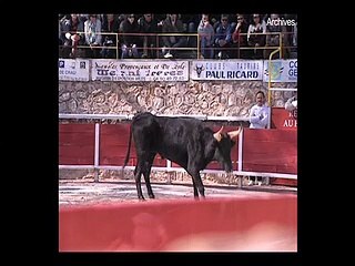 Hadrien Poujol au téléphone