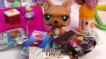 Shopkins LPS Mystery Surprise Handmade Blind Bags Toys Cookieswirlc Fan Mail Littlest Pet Shop