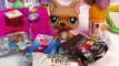 Shopkins LPS Mystery Surprise Handmade Blind Bags Toys Cookieswirlc Fan Mail Littlest Pet Shop