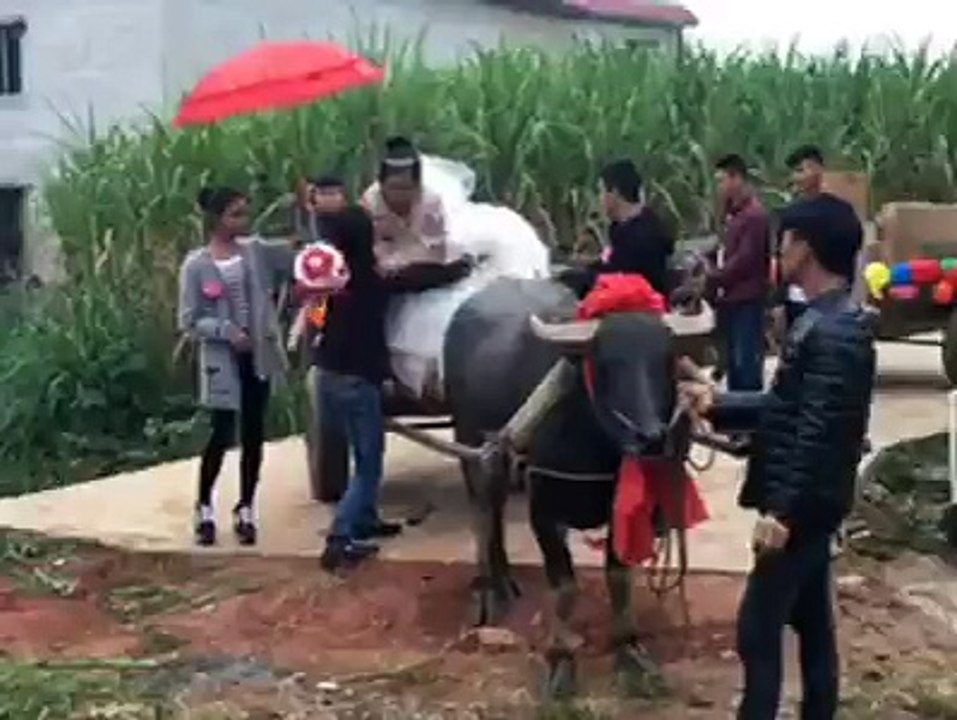 funny wedding scene