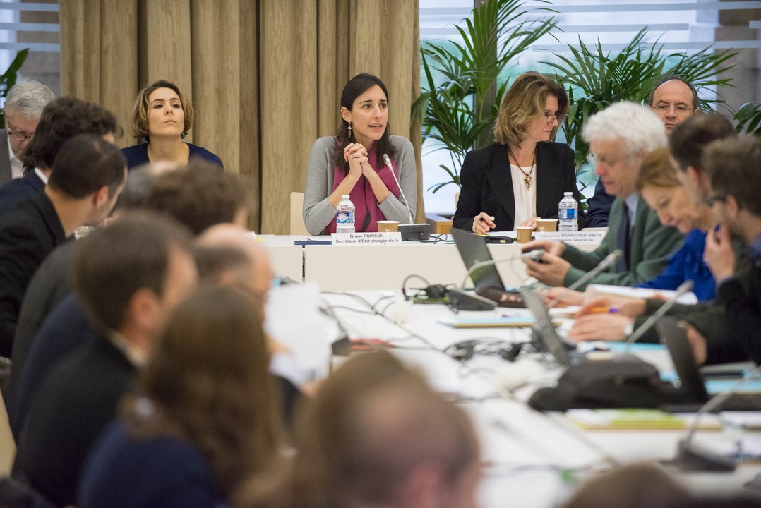 Comité de Pilotage national sur la séquence "éviter-réduire-compenser"