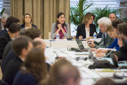 Comité de Pilotage national sur la séquence éviter-réduire-compenser