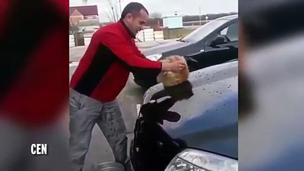 Il utilise son chat pour nettoyer la carrosserie de sa Mercedes