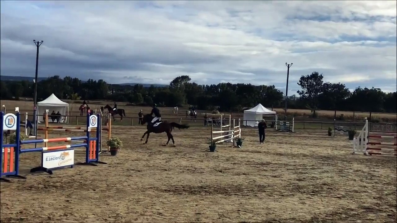 Compétition de saut d'obstacles - Equitation