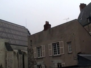 Angers-Galerie David (1)