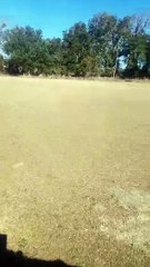 Jeremiah Going Nuts About Naomi