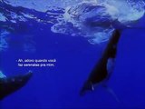 baleias time - o amor das baleias é perfeito