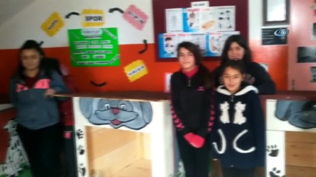 Kastamonu’da sokak hayvanları için “Merhamet Yuvası” projesi