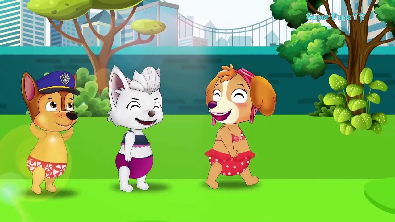 Paw Patrol Full Ep. Chase, Skye & Sweetie Plays The Slider In The Water Park Mission Paw