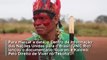 Evento no Rio debate direitos dos povos indígenas dez anos após declaração da ONU