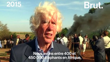 Esmond Bradley Martin assassiné dans sa maison de Nairobi