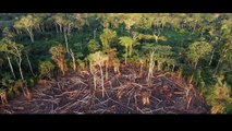 Na República do Congo, envolver comunidades no manejo florestal sustentável traz benefícios