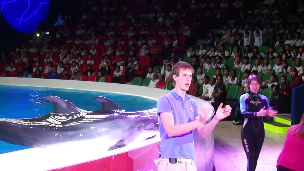 the dolphen show