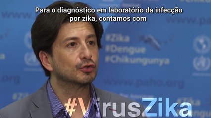 Vírus zika: Qual é o melhor momento para coletar a amostra de laboratório