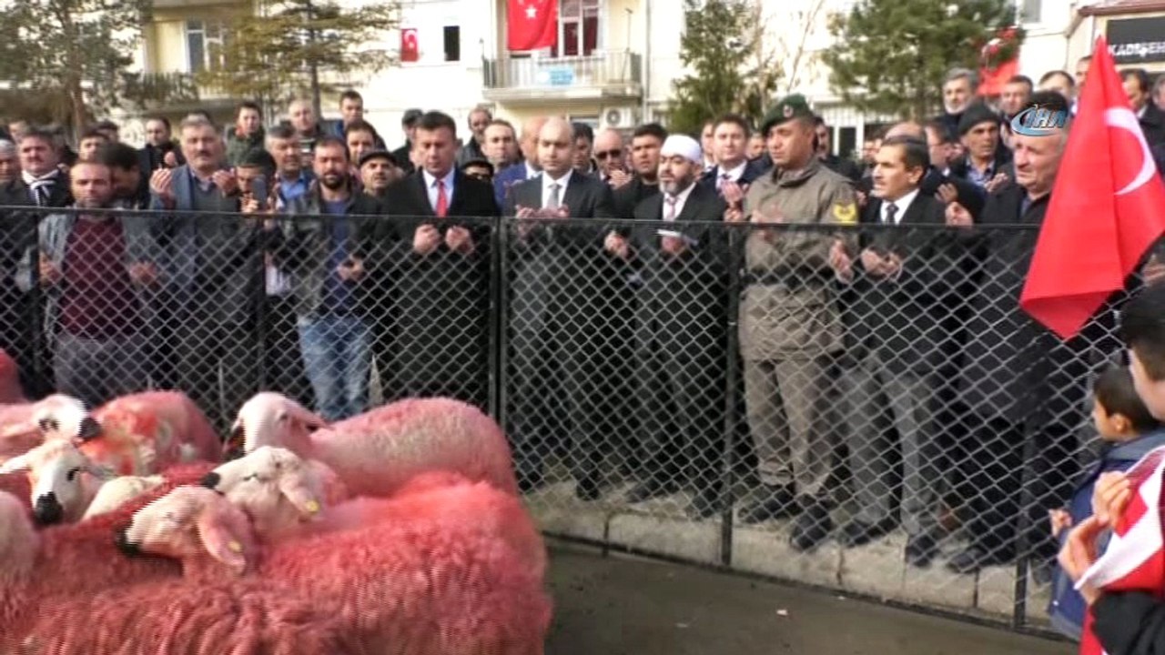 Yozgatlı çobanlar kınaladıkları kurbanları Mehmetçiğe gönderdi