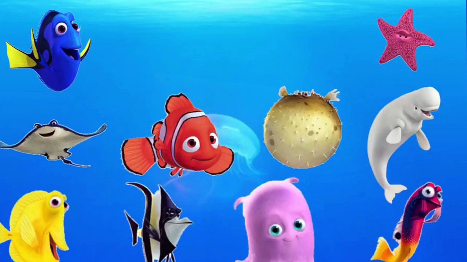 LEARN SEA ANIMALS & OCEAN WATER ANIMALS NAMES AND SOUND REAL SOUND CARTOON  FOR KIDS COMPILATION - Vídeo Dailymotion