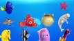 LEARN SEA ANIMALS & OCEAN WATER ANIMALS NAMES AND SOUND REAL SOUND CARTOON FOR KIDS COMPILATION