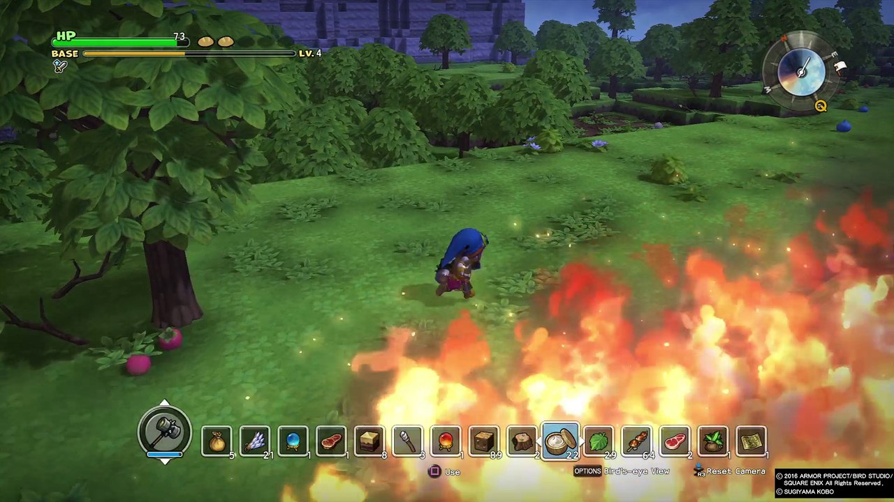 DRAGON QUEST BUILDERS_20180206143122