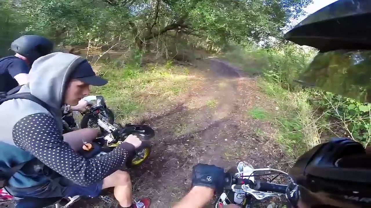 Boston Terrier-bikes
