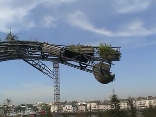 Nantes-Arbre aux hérons (3)
