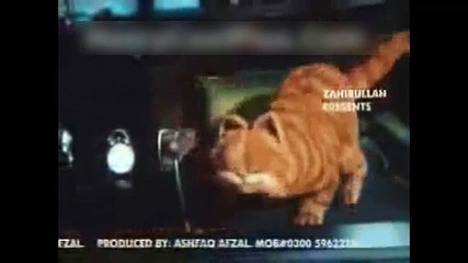 zahirullah dubbing 2007 - gooraaa ka pachasssss pashto funny clips
