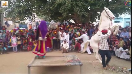 خيول مدربة مدهشة ! المعنى الحقيقي لمتعة العين لن تمل من المشاهدة