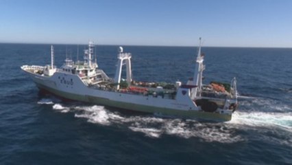 España espera resolver junto a Argentina la situación del pesquero