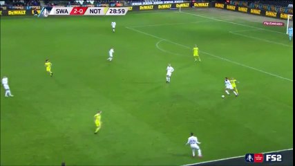 Nathan Dyer Fantastic Goal vs Notts County (3-0)