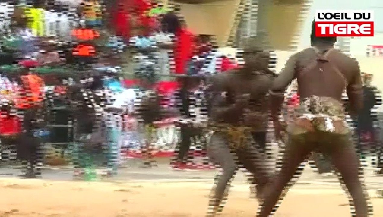 RUBRIQUE CHAMPION du 06 Février 2018 dans L' Oeil Du Tigre - partie 2