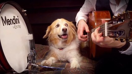 Passion Pit - Take a Walk ft. Maple on the drums