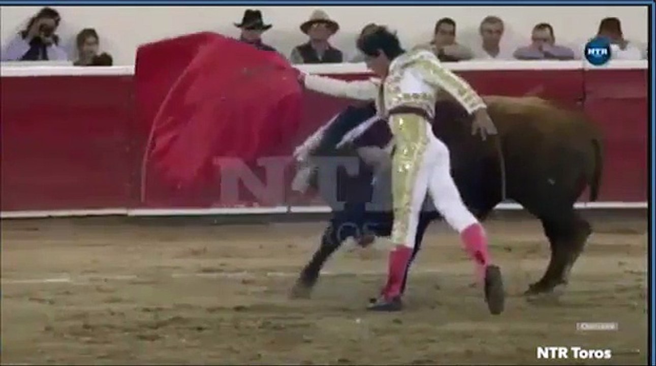 Bullfighter Takes It In The Balls