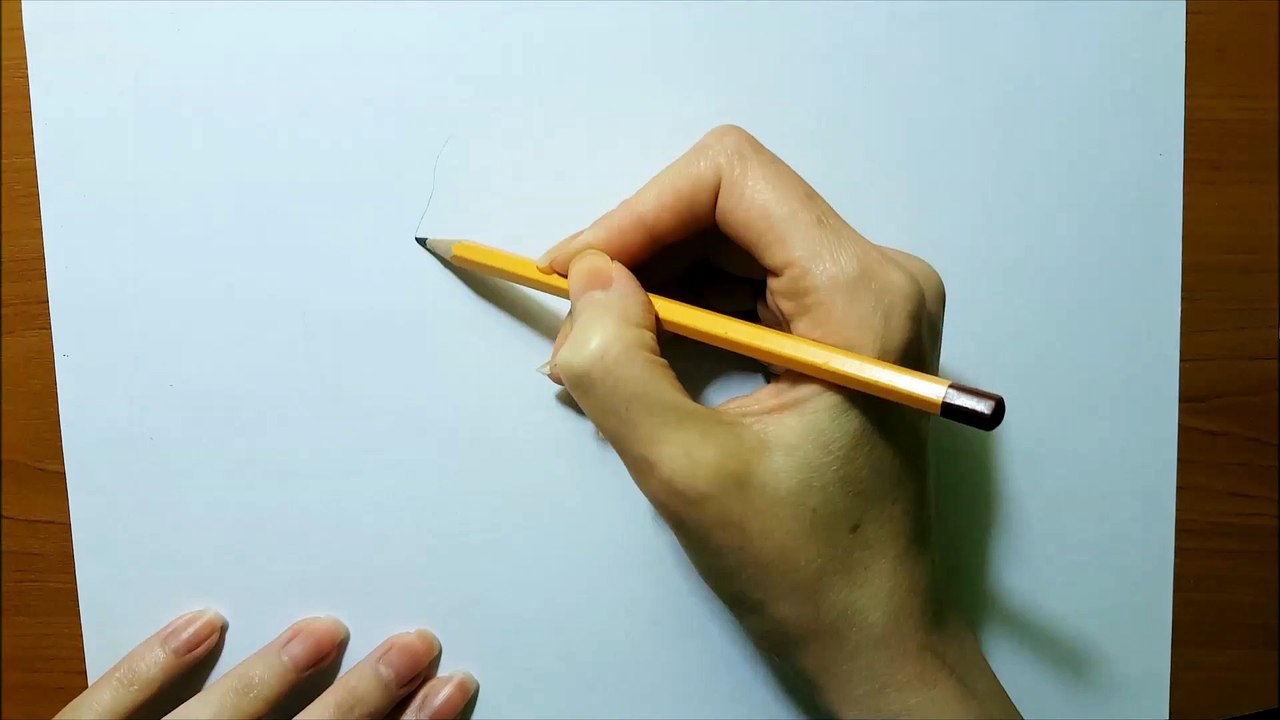 Drawing 3d butterfy